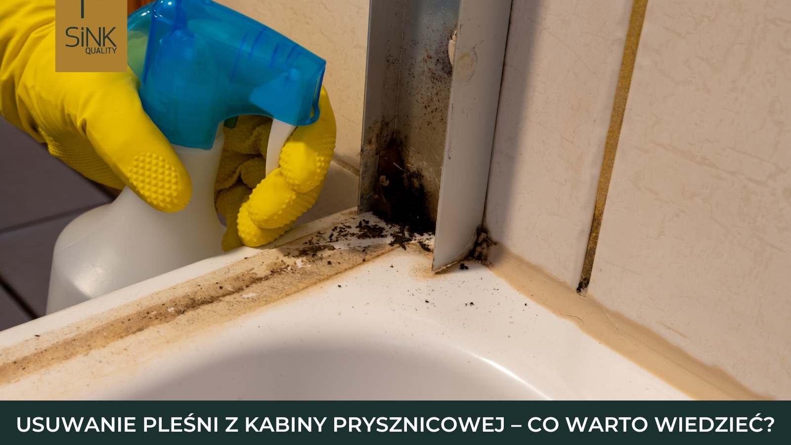 usuwanie pleśni z kabiny prysznicowej