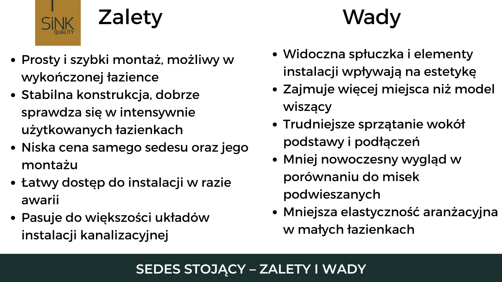 zalety i wady sedesu stojącego